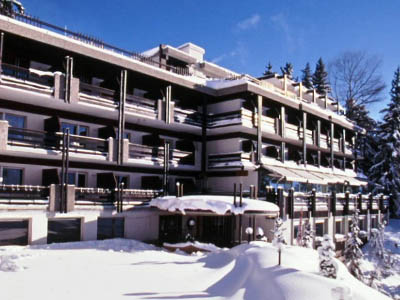 Ubytovanie Hotel De la Foret, Crans Montana